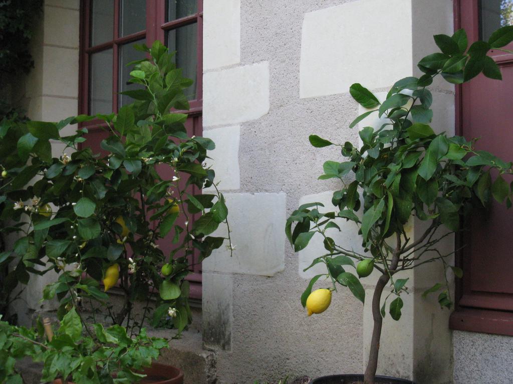 Le Logis Des Tourelles Bed & Breakfast Beaupréau Eksteriør bilde
